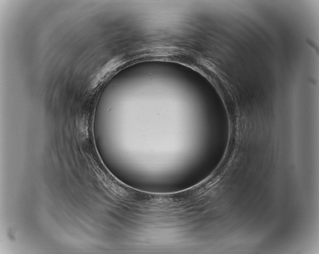 X0000100341451200806051527