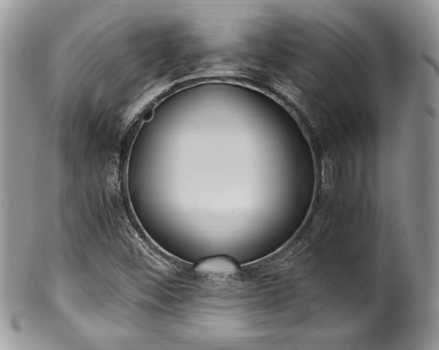 X0000100341452200806051527