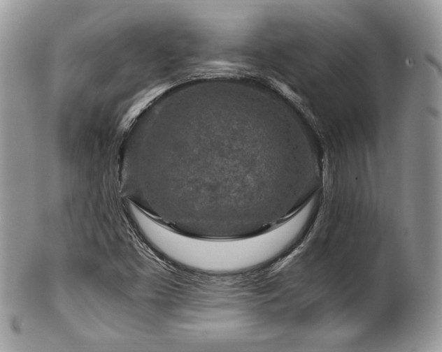 X0000100341453200806051527