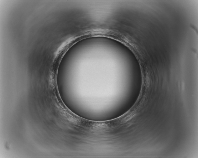X0000100341454200806051527