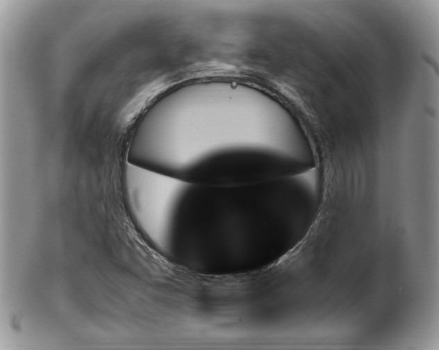 X0000100341455200806051527