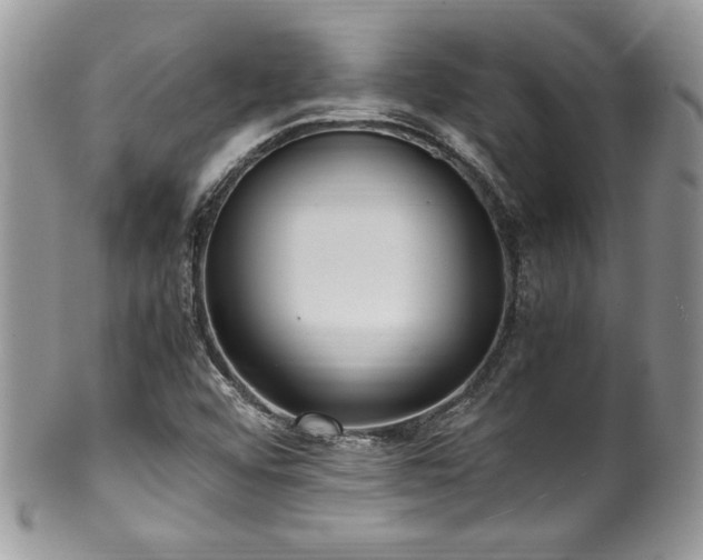 X0000100341456200806051527