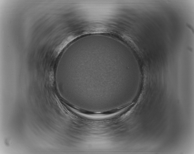 X0000100341457200806051527