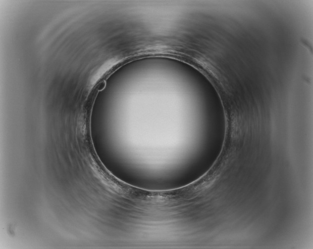 X0000100341458200806051527