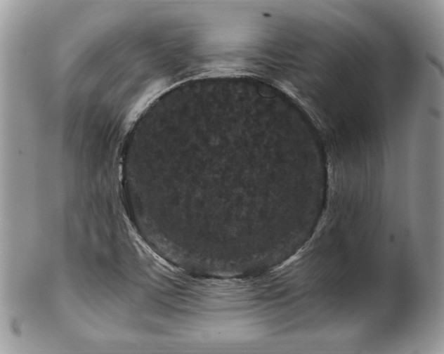 X0000100341459200806051527