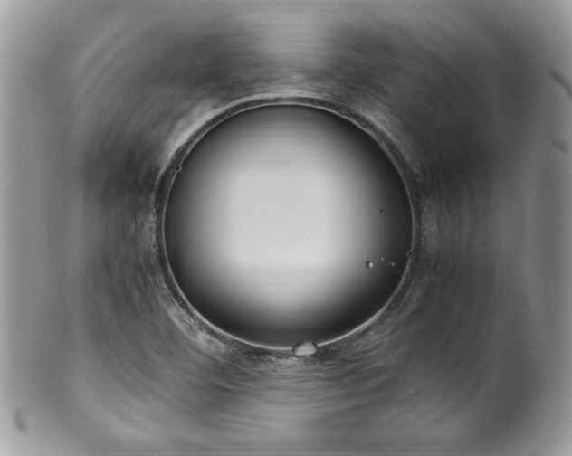 X0000100341460200806051527