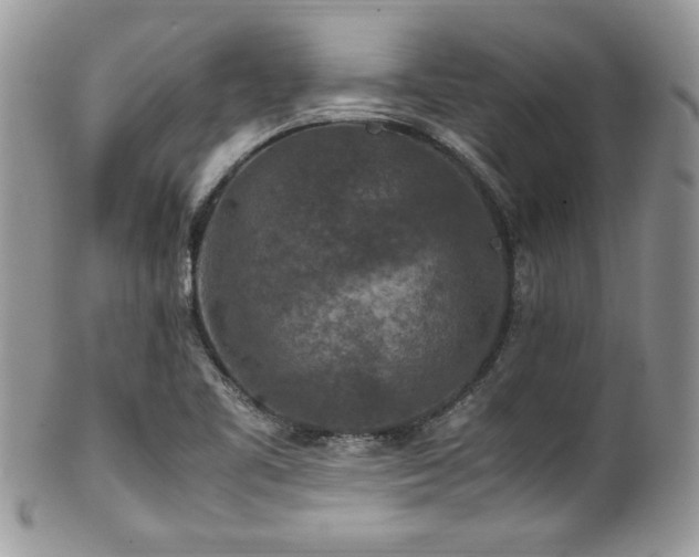 X0000100341461200806051527