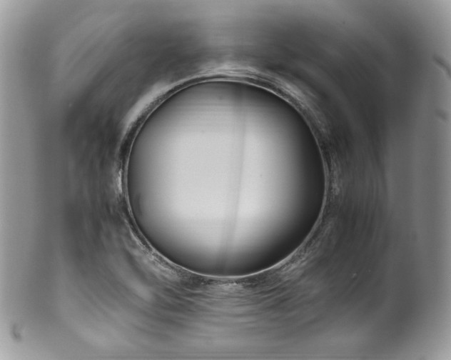X0000100341462200806051526