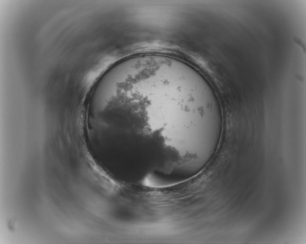 X0000100341463200806051526