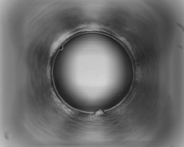 X0000100341464200806051526
