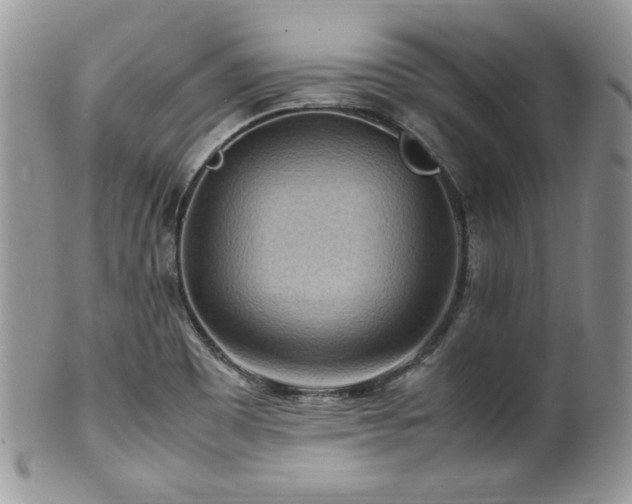 X0000100341465200806051526