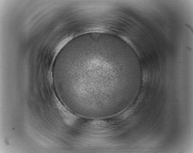 X0000100341466200806051526