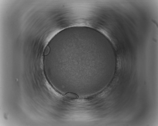 X0000100341468200806051526