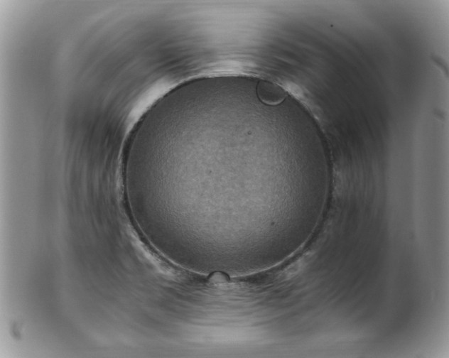 X0000100341469200806051526