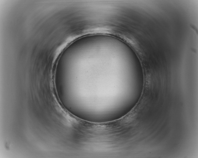 X0000100341470200806051526