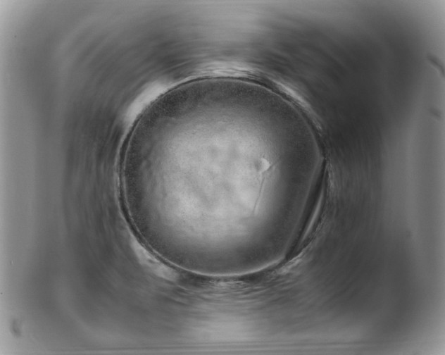 X0000100341471200806051526