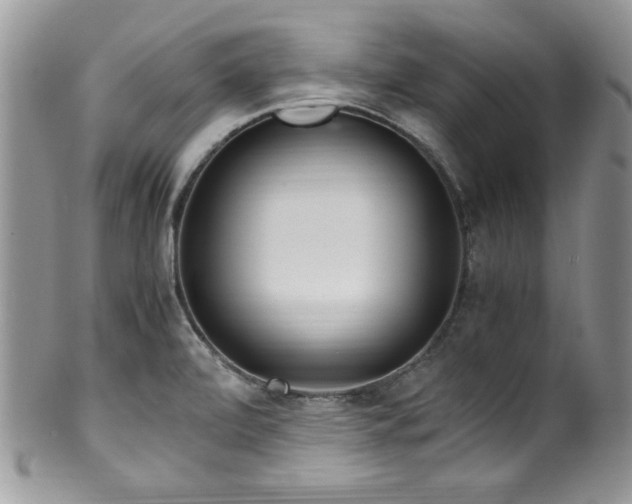 X0000100341472200806051526