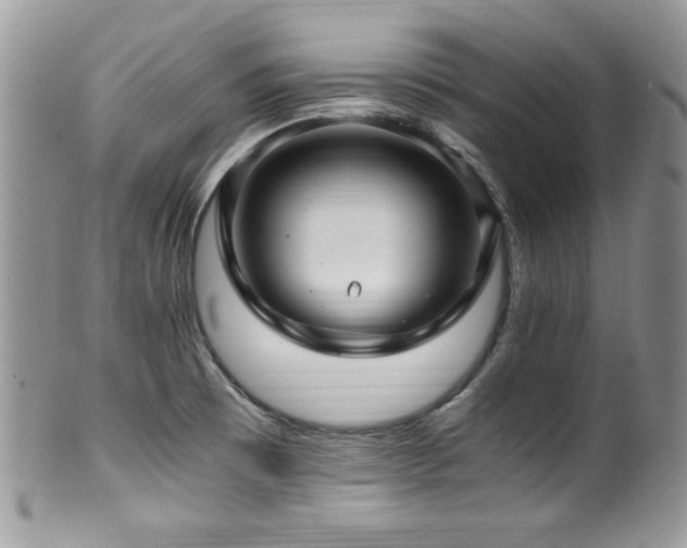 X0000100341473200806051526