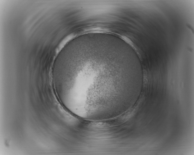 X0000100341474200806051526