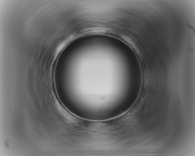 X0000100341475200806051526
