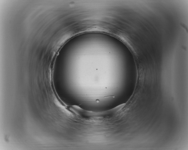 X0000100341476200806051526
