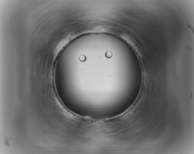 X0000100341477200806051526