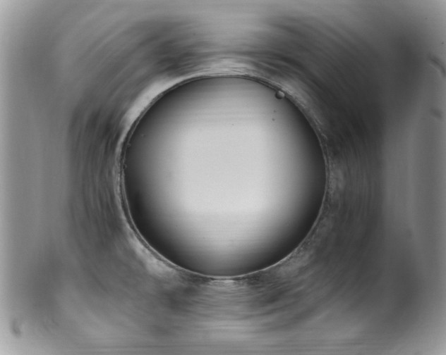 X0000100341478200806051526