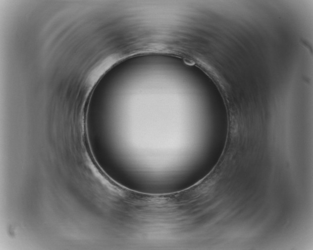 X0000100341479200806051526