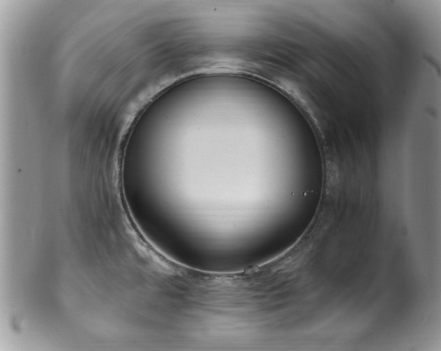 X0000100341480200806051526