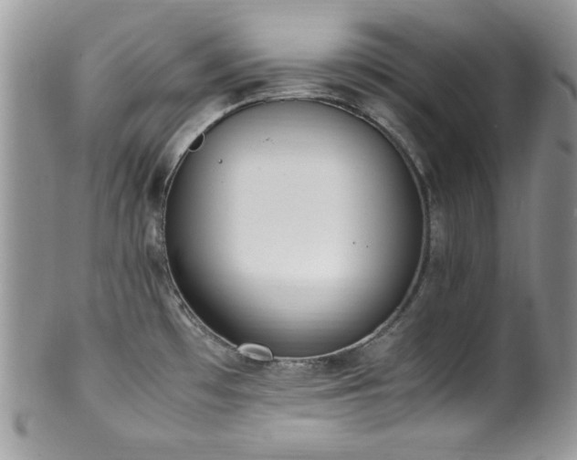 X0000100341481200806051526