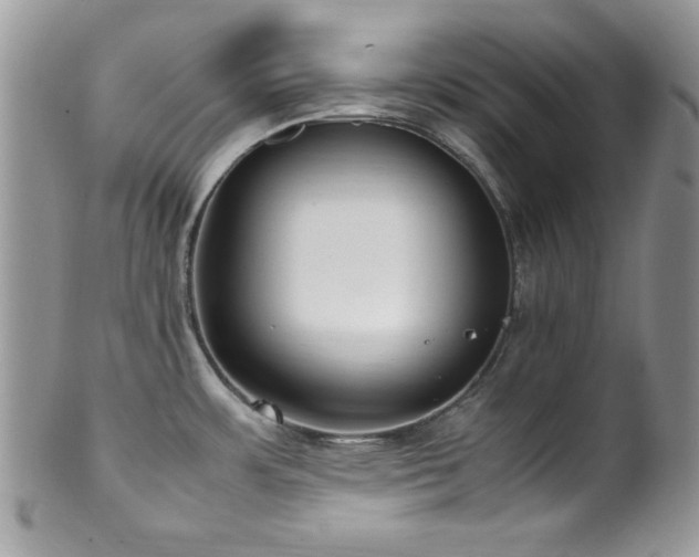 X0000100341483200806051526