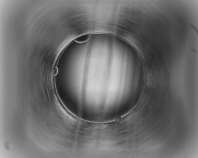 X0000100341484200806051526