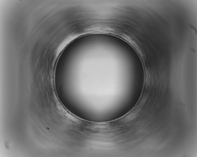 X0000100341486200806051526