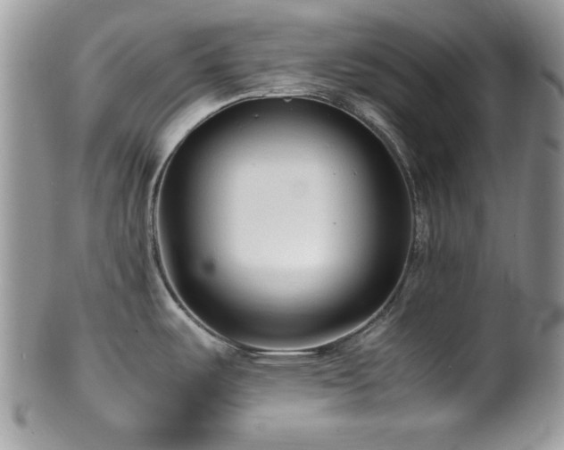 X0000100341487200806051526