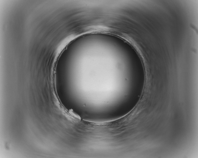 X0000100341488200806051526