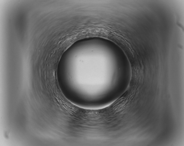 X0000100341489200806051525