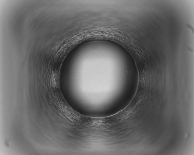 X0000100341490200806051525