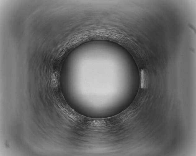 X0000100341491200806051525