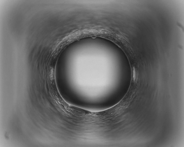 X0000100341492200806051525