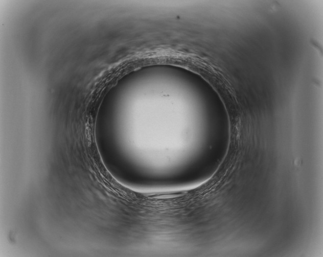 X0000100341493200806051525