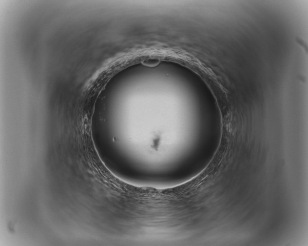 X0000100341495200806051525