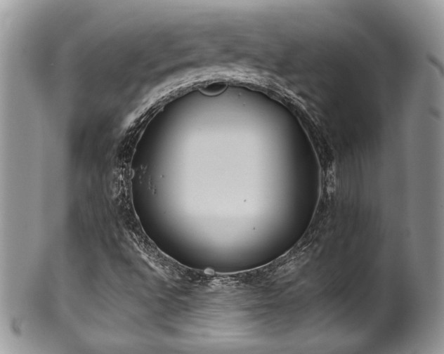 X0000100341496200806051525