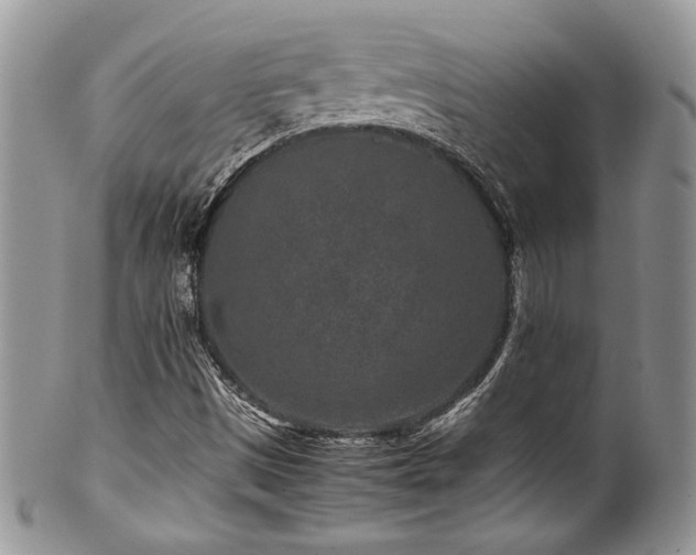 X0000100341497200806051525