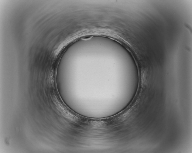 X0000100341498200806051525