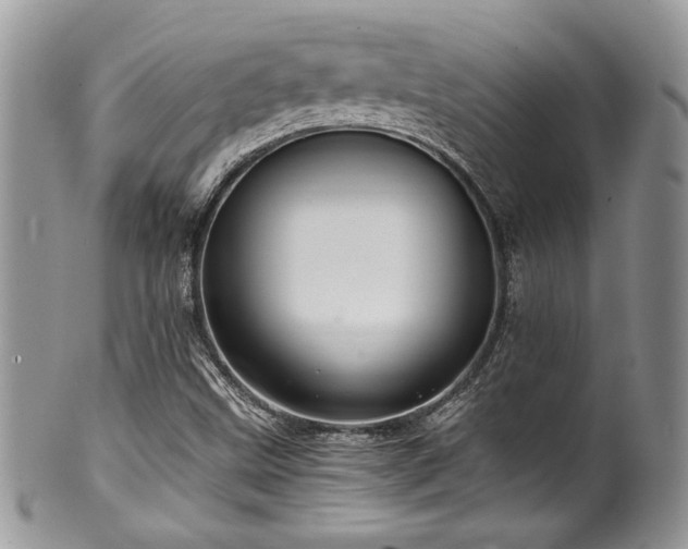 X0000100341499200806051525