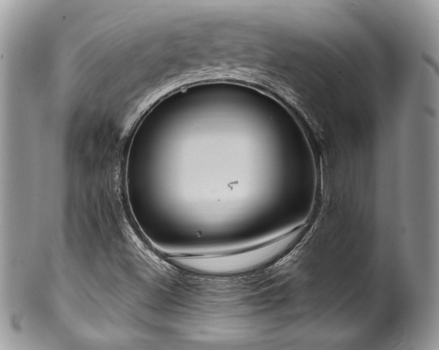 X0000100341500200806051526