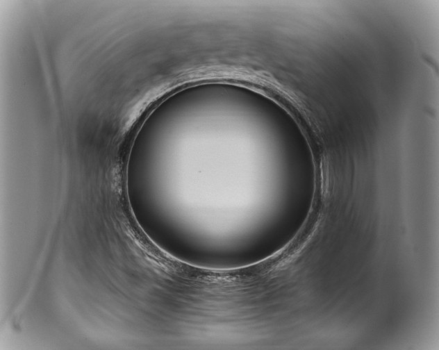 X0000100341501200806051526