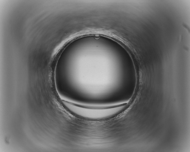 X0000100341502200806051526