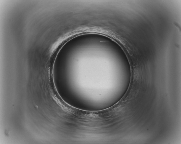 X0000100341503200806051526