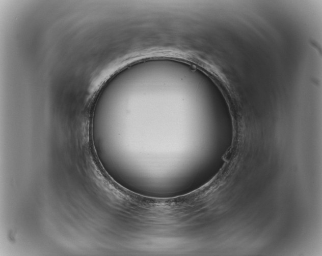 X0000100341504200806051526